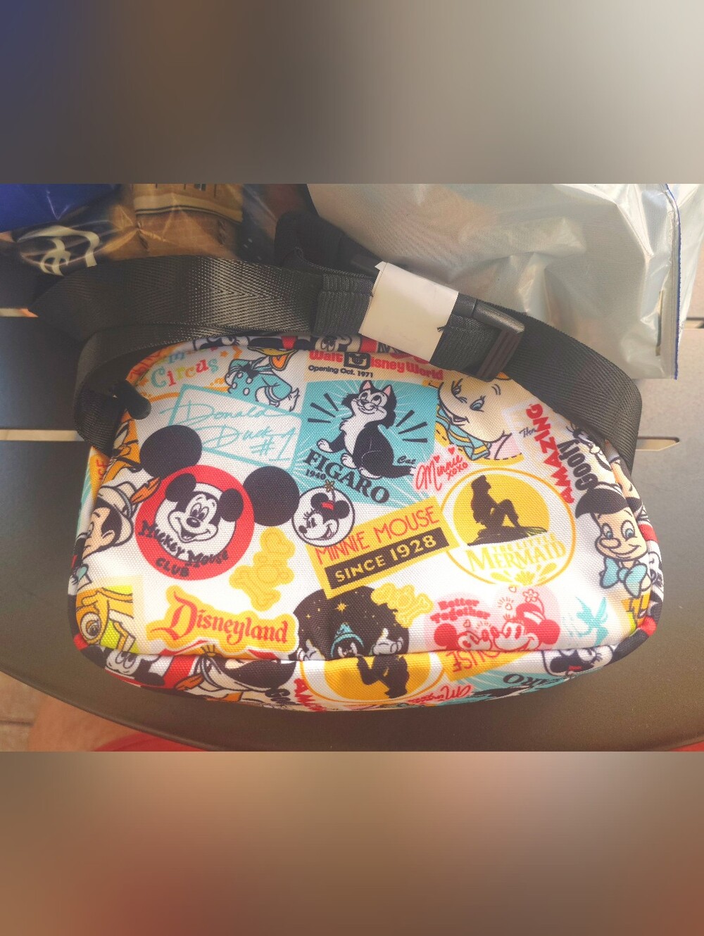 Disney Parks Vintage College Fanny Pack